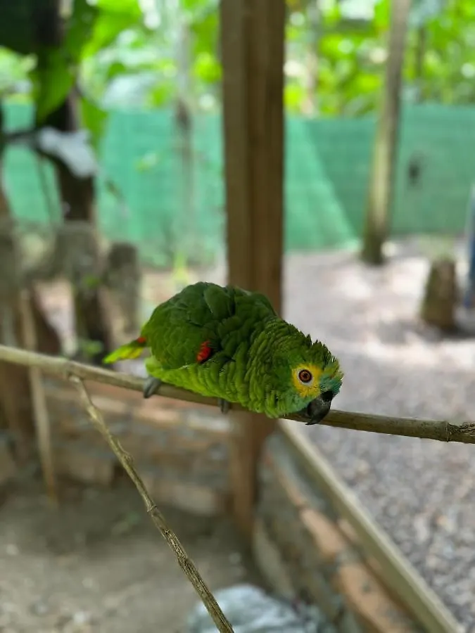 Cabana Toca Verde - Conheca A Serra Do Rio Do Rastro Vila Orleães